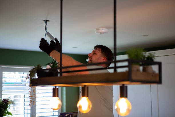 Best Electric Panel Repair  in Ronceverte, WV