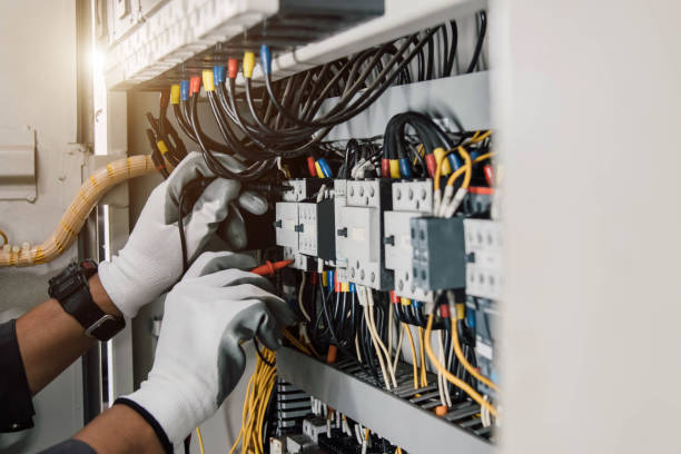 Best Electrical Upgrades for Homes  in Ronceverte, WV
