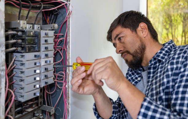 Best Local Electrician Companies  in Ronceverte, WV